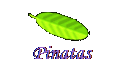   Pinatas  