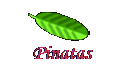   Pinatas  